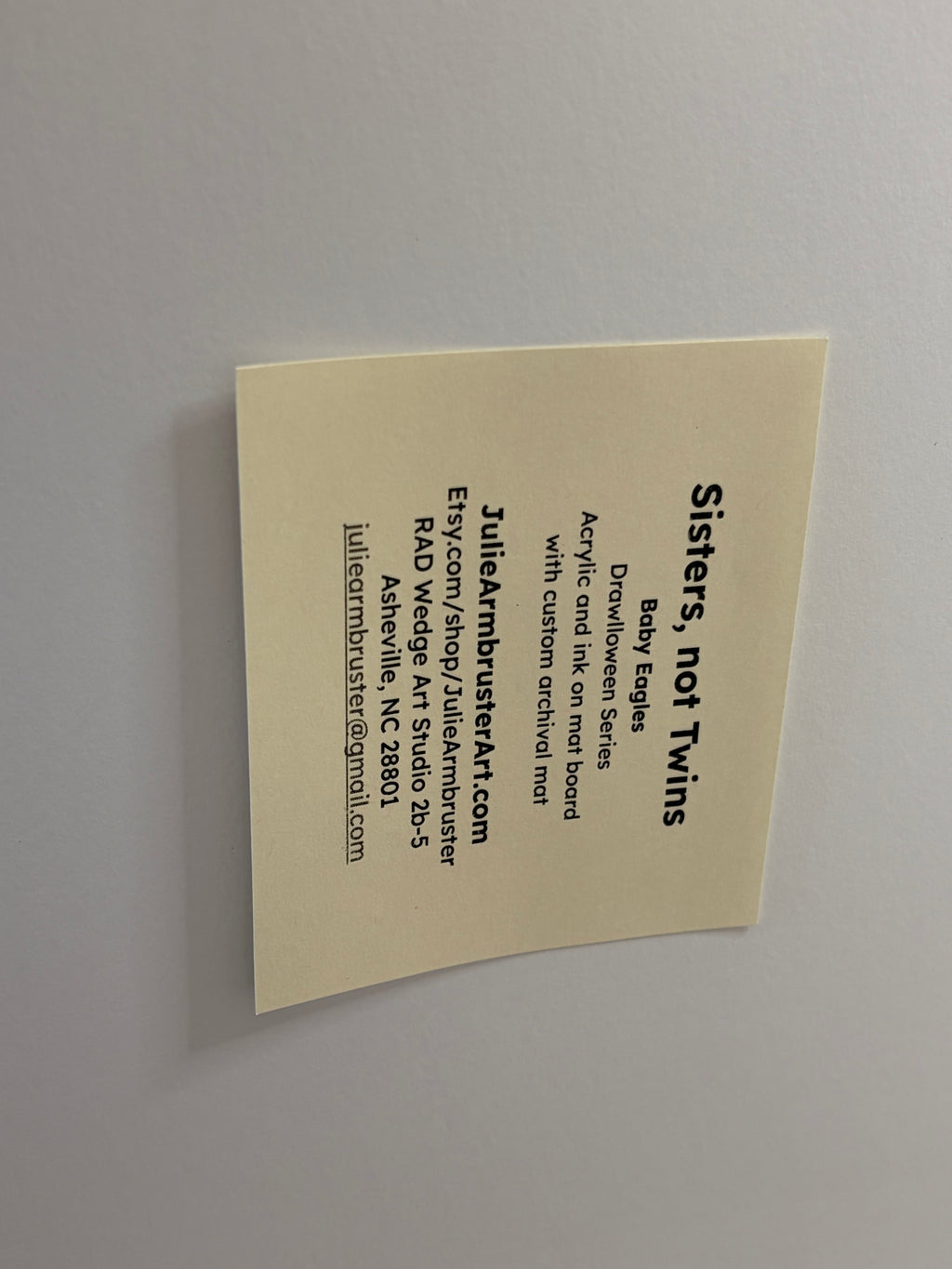 Sisters, not Twins (baby eagles)