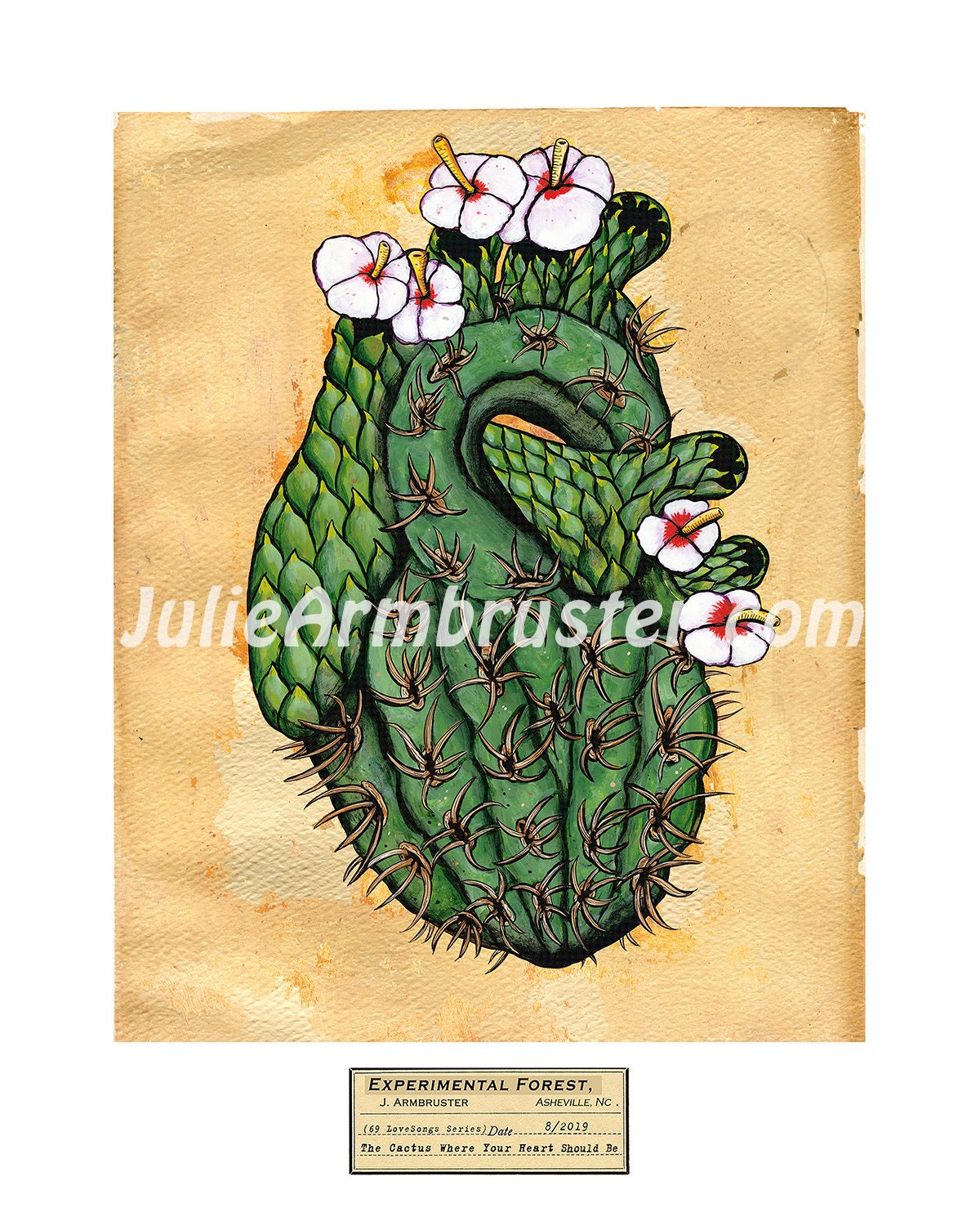 The Cactus Where Your Heart Should Be