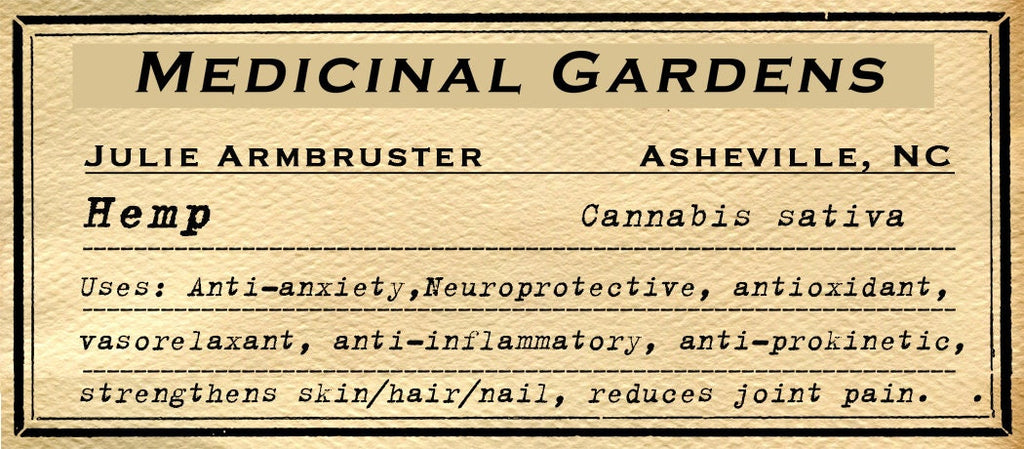 Hemp: Medicinal Plant Series 8x10  Print