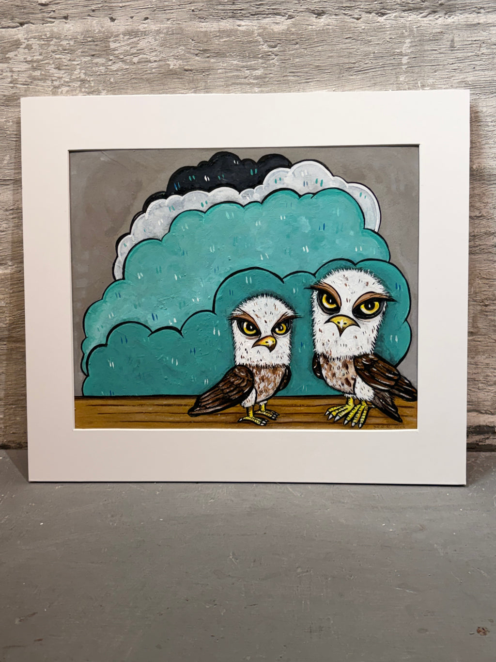 Sisters, not Twins (baby eagles)