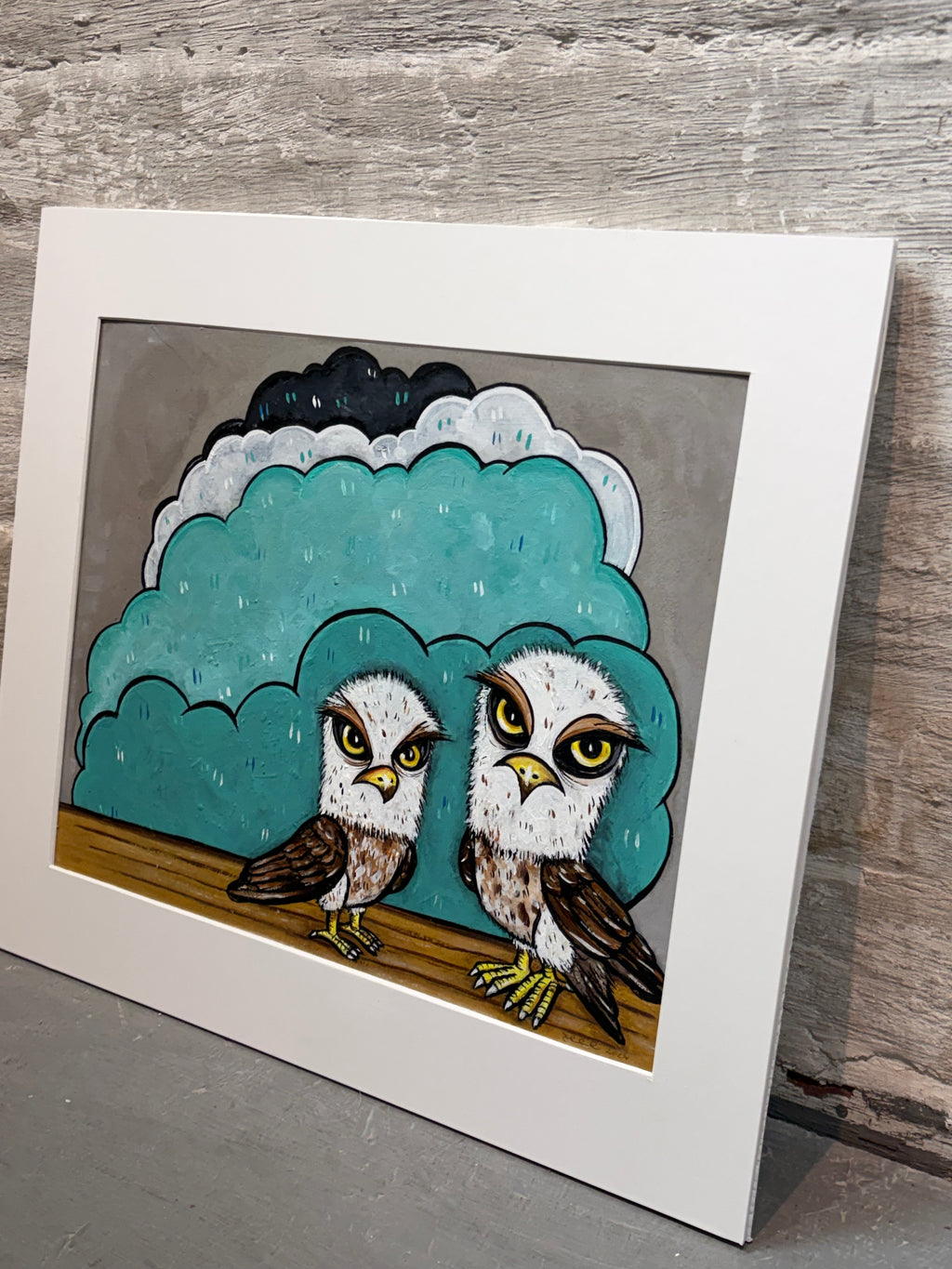 Sisters, not Twins (baby eagles)