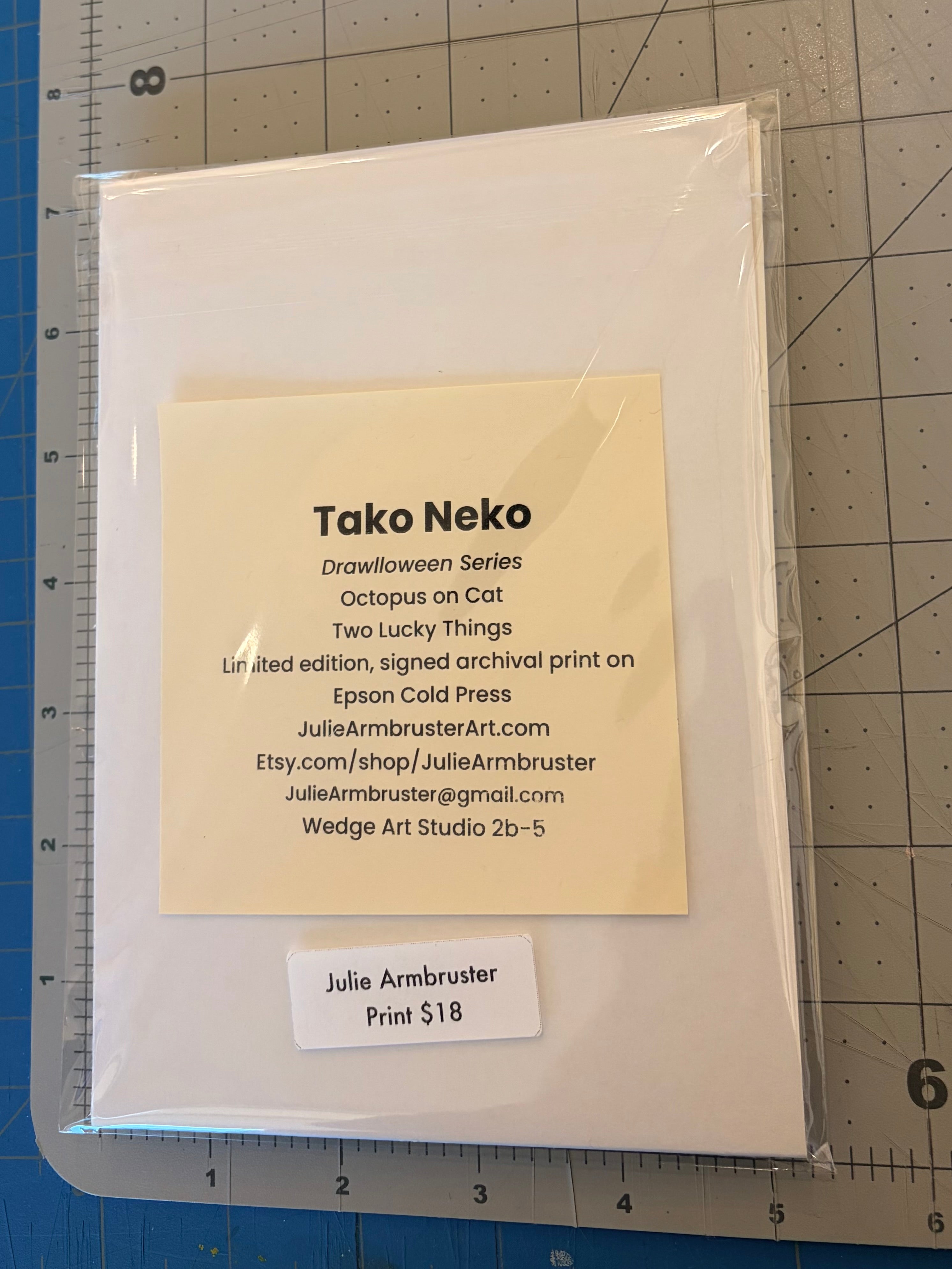 Tako Neko (octopus on cat/ 2 lucky things)