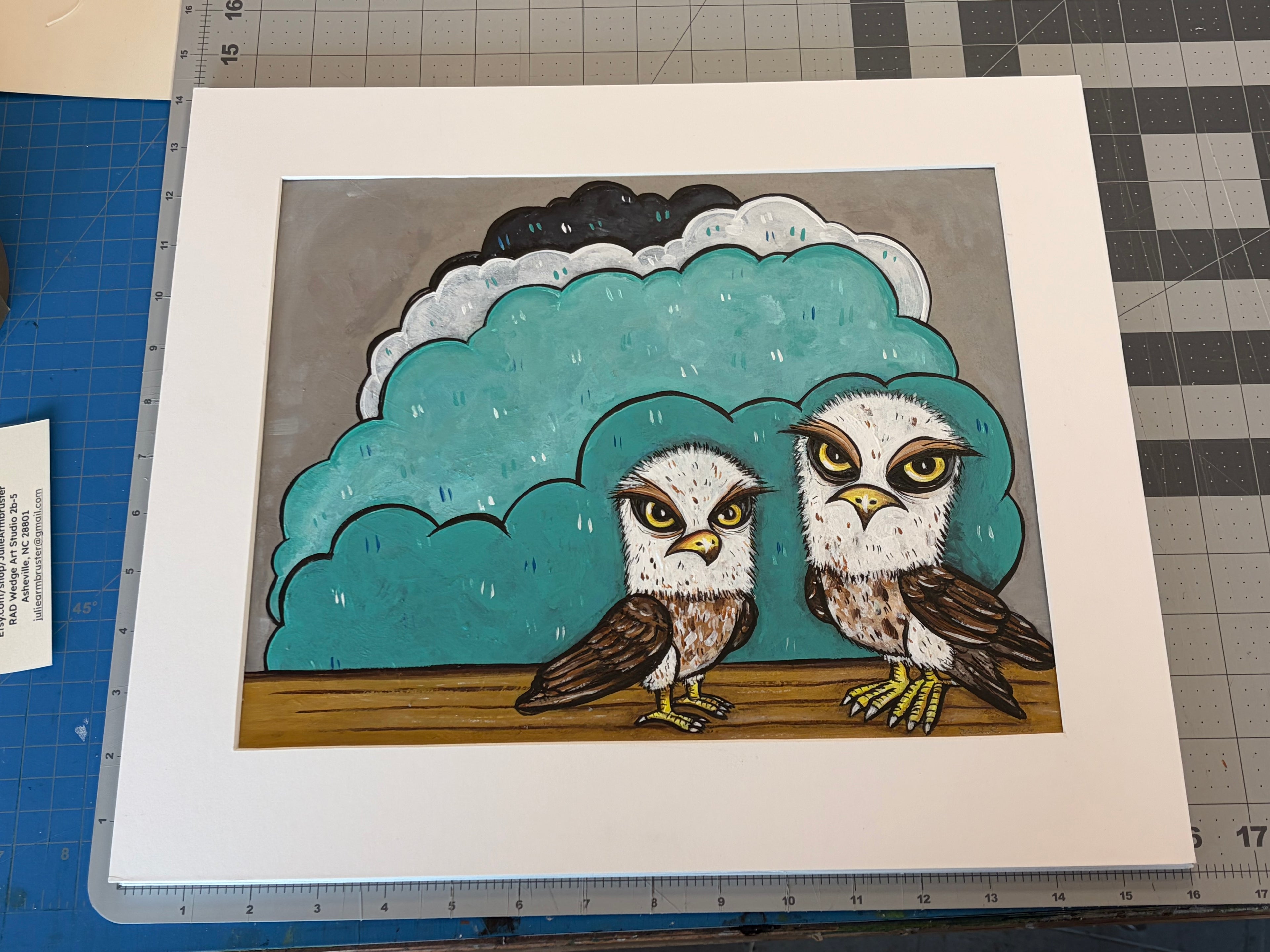 Sisters, not Twins (baby eagles)