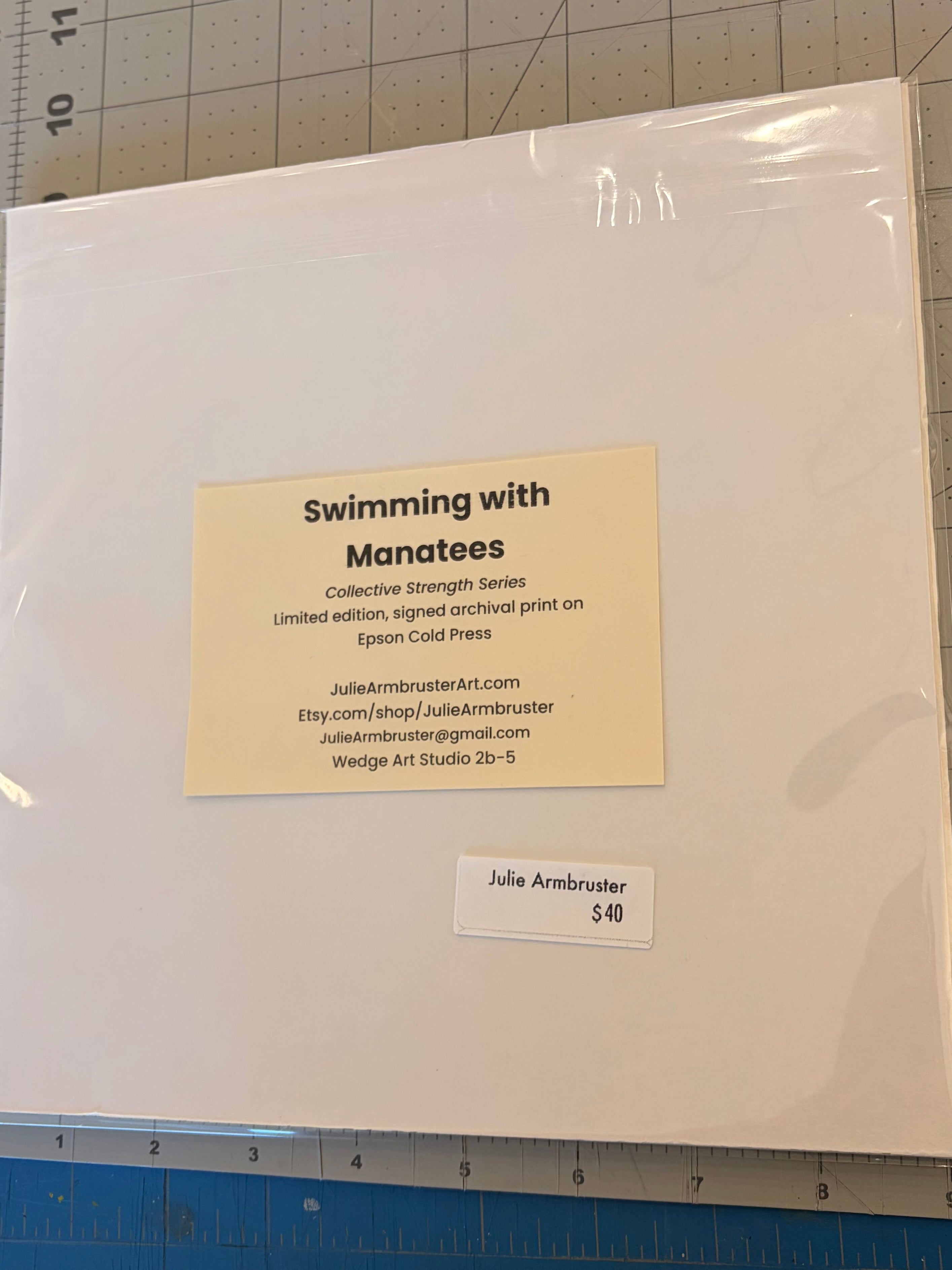 Swimming With Manatees (giclee print)